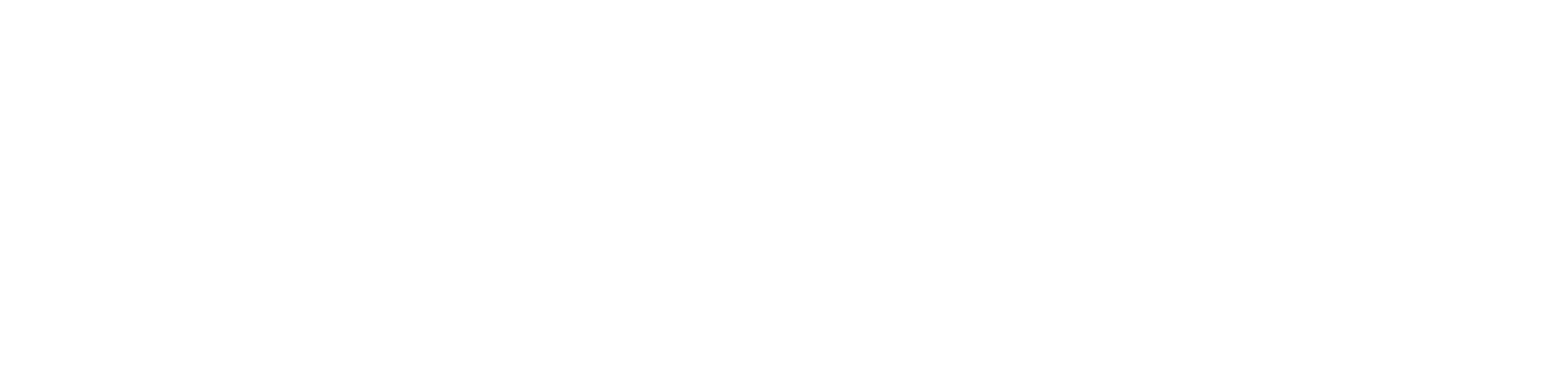 logo text for the plan, which reads "Downtown Columbia" and "STRATEGIC PLAN & DESIGN GUIDELINES" in white