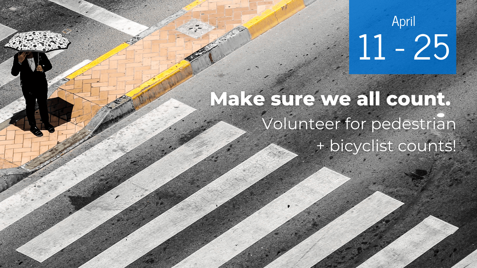 An image of a lone pedestrian in a suit under an umbrella. The pedestrian is standing in a narrow yellow median, facing the ladder-style crosswalk to cross a sunbleached asphalt roadway. Text on the image reads: “Make sure we all count. Volunteer for pedestrian + bicyclist counts!” Text in the upper left on a blue background reads: April 11 - 25.